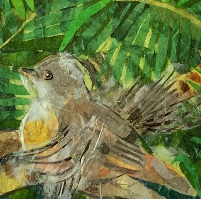 Brazilian Rainforest Detail Bird