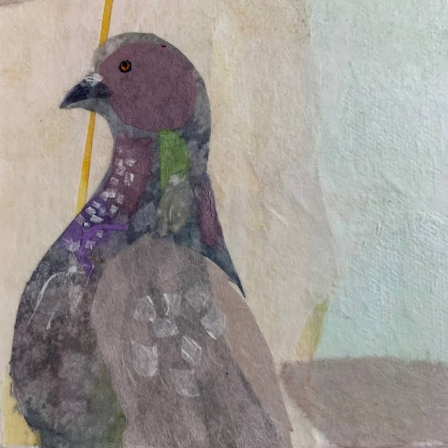 Harlem detail pigeon